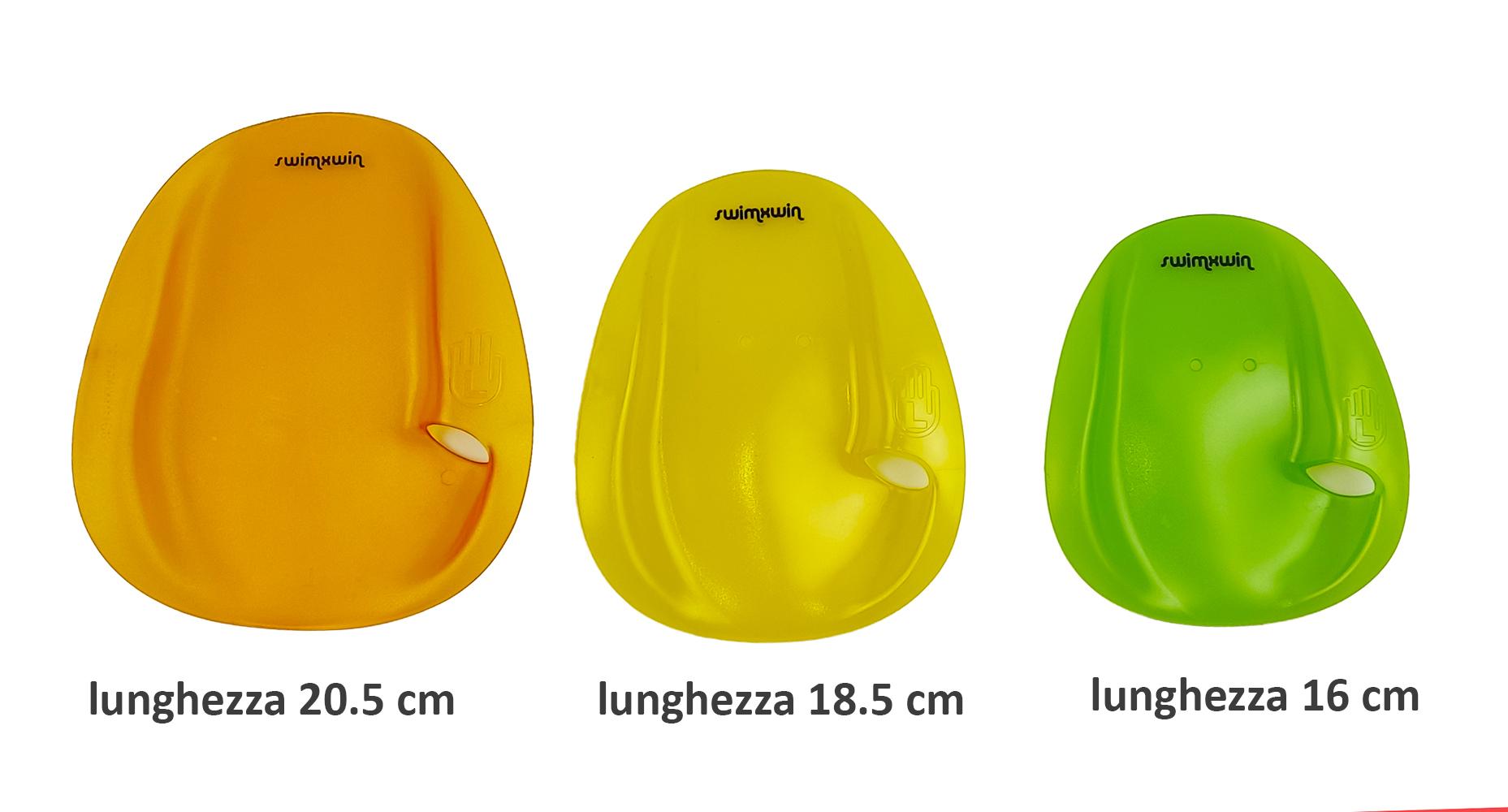DEXTER PADDLE - Image 2