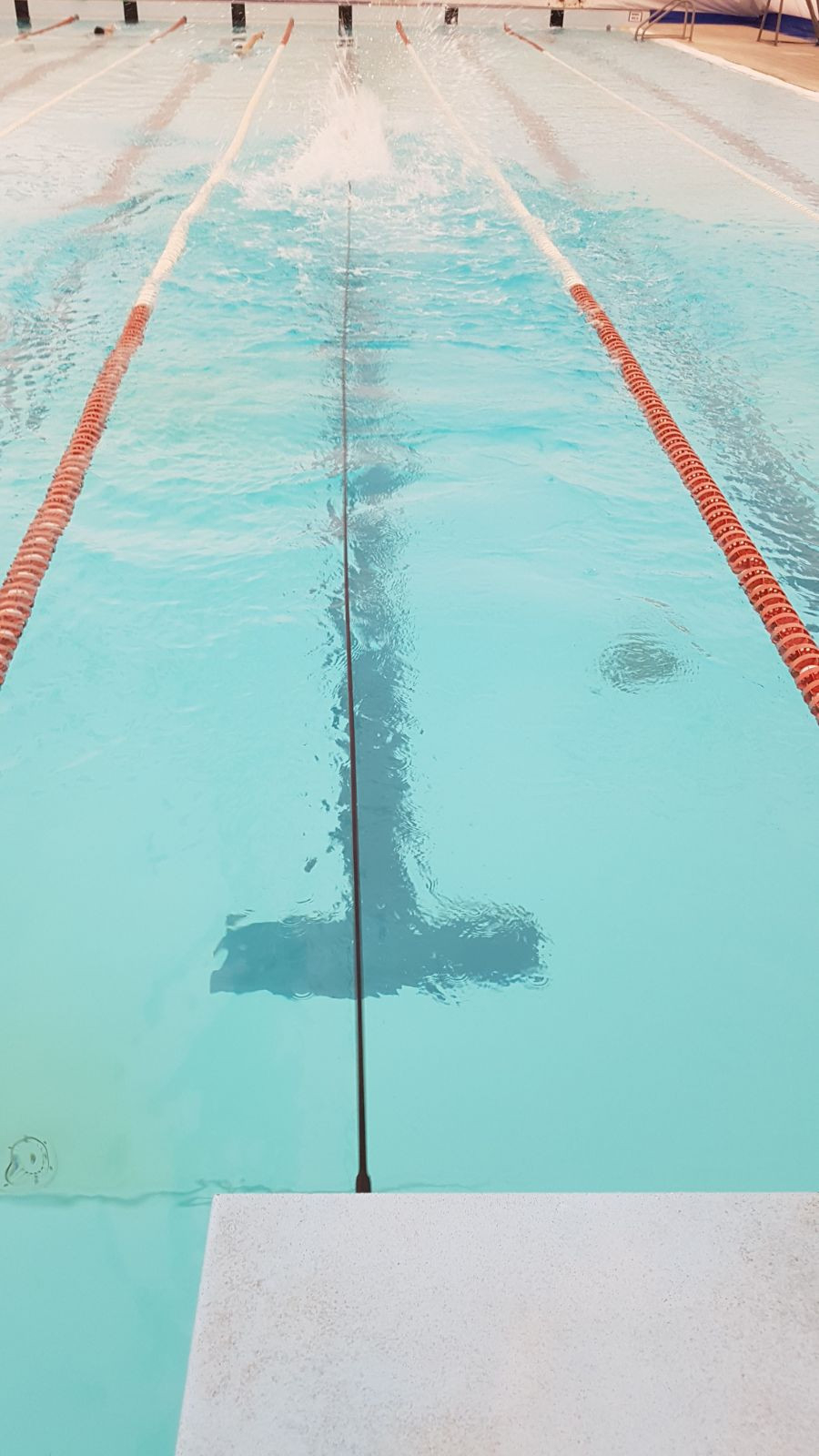 LONG ELASTIC SAFETY UWIN by SWIMXWIN FOR WATER TRAINING - Image 4